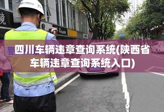 四川车辆违章查询系统(陕西省车辆违章查询系统入口)