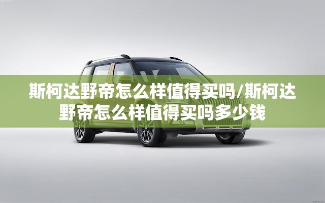斯柯达野帝怎么样值得买吗/斯柯达野帝怎么样值得买吗多少钱