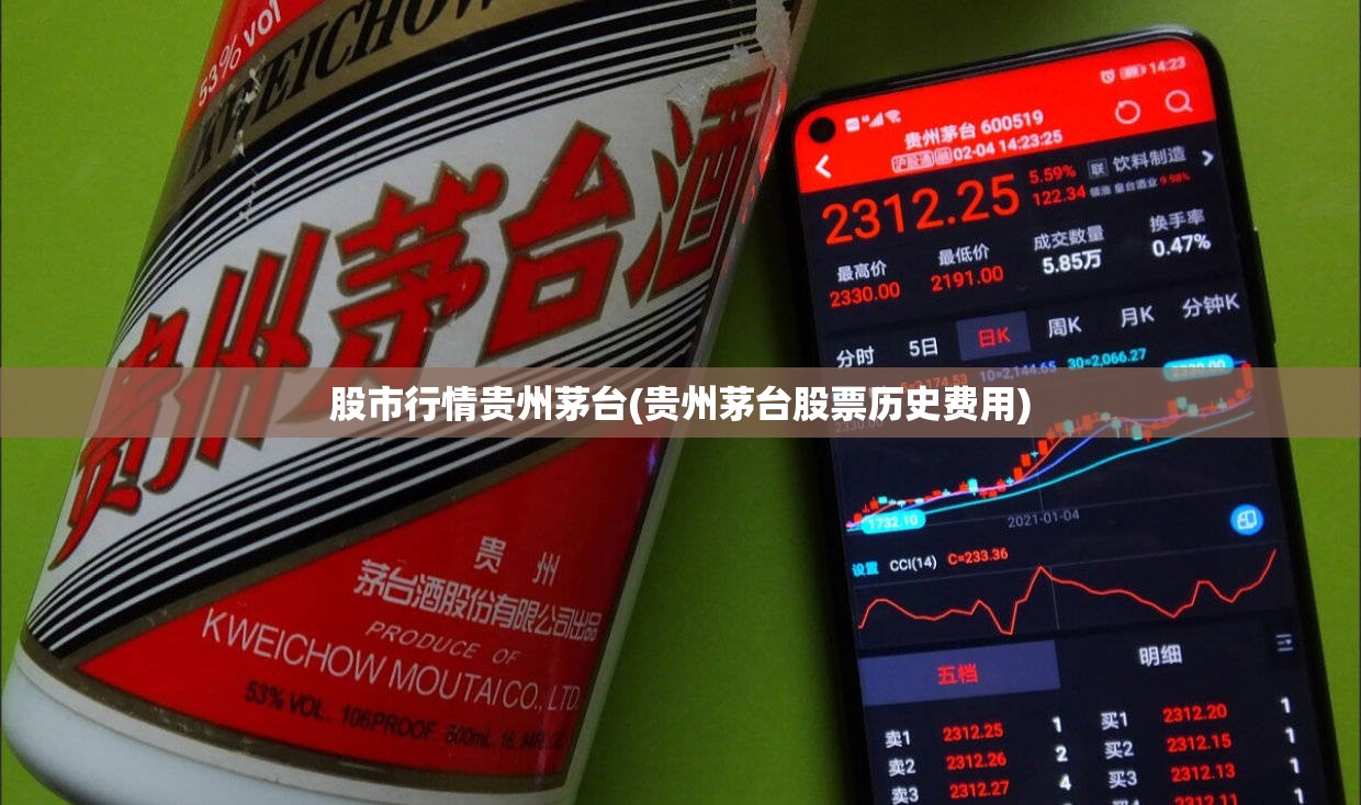 股市行情贵州茅台(贵州茅台股票历史费用)
