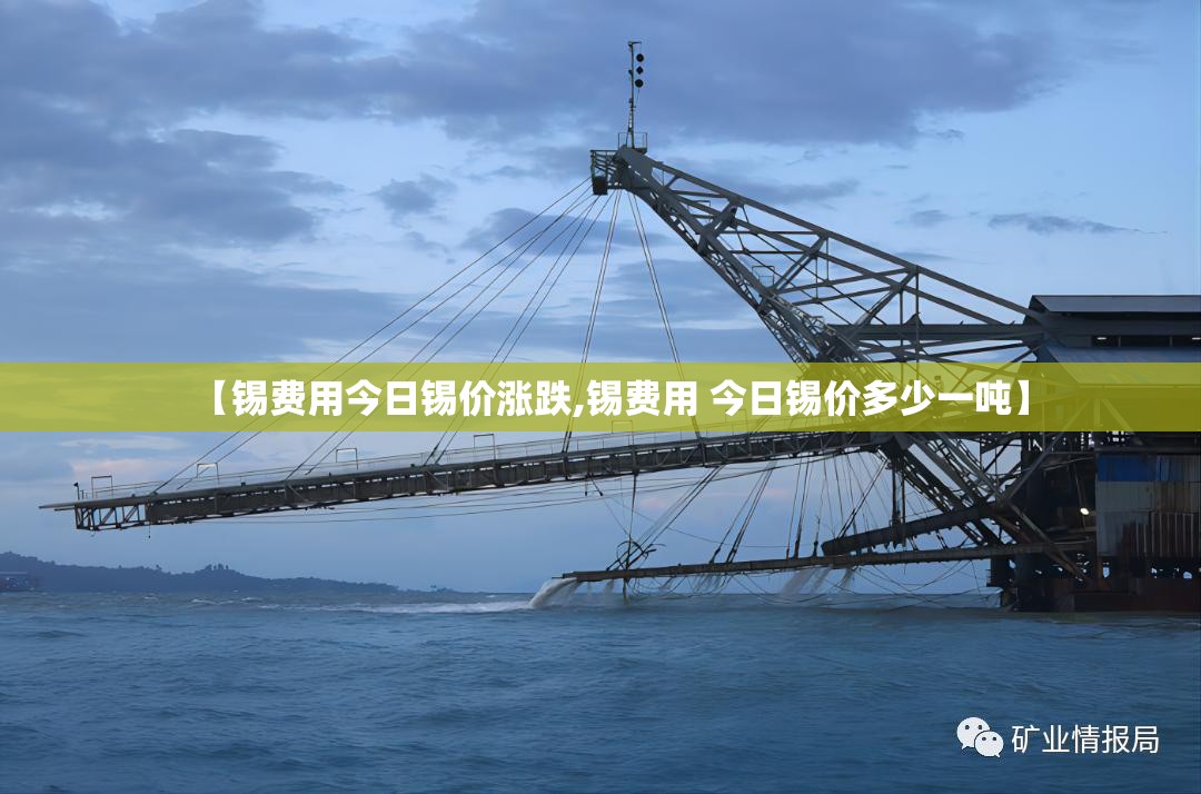 【锡费用今日锡价涨跌,锡费用 今日锡价多少一吨】