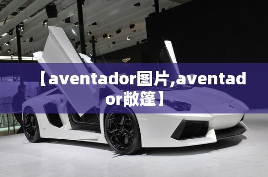 【aventador图片,aventador敞篷】 【aventador图片,aventador敞篷】