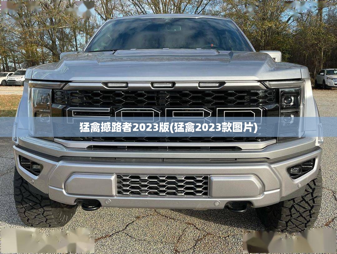 猛禽撼路者2023版(猛禽2023款图片)