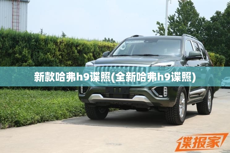 新款哈弗h9谍照(全新哈弗h9谍照)