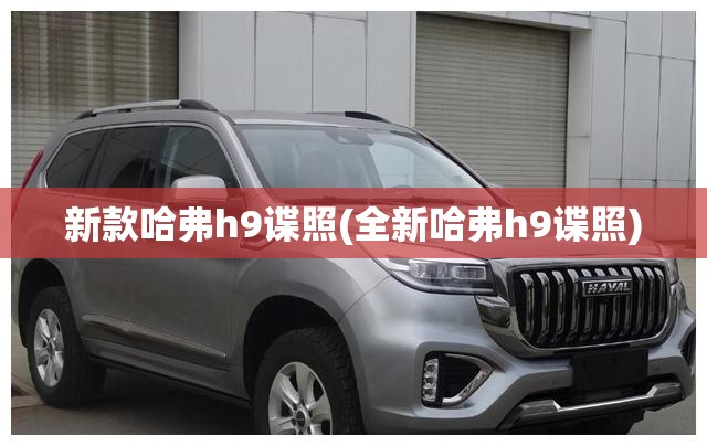 新款哈弗h9谍照(全新哈弗h9谍照)