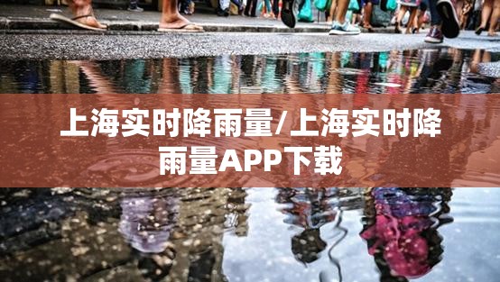 上海实时降雨量/上海实时降雨量APP下载