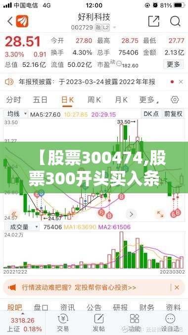 【股票300474,股票300开头买入条件是什么】