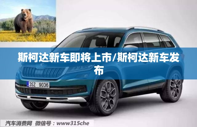 斯柯达新车即将上市/斯柯达新车发布 斯柯达新车即将上市/斯柯达新车发布