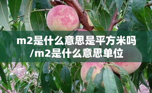 m2是什么意思是平方米吗/m2是什么意思单位