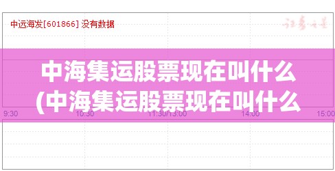 中海集运股票现在叫什么(中海集运股票现在叫什么名)
