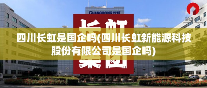 四川长虹是国企吗(四川长虹新能源科技股份有限公司是国企吗)