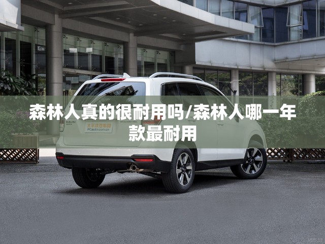 森林人真的很耐用吗/森林人哪一年款最耐用 森林人真的很耐用吗/森林人哪一年款最耐用