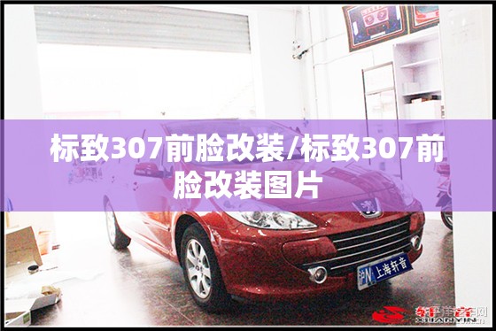 标致307前脸改装/标致307前脸改装图片