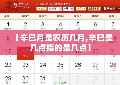【辛巳月是农历几月,辛巳是几点指的是几点】