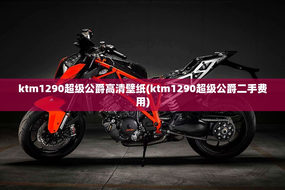 ktm1290超级公爵高清壁纸(ktm1290超级公爵二手费用)