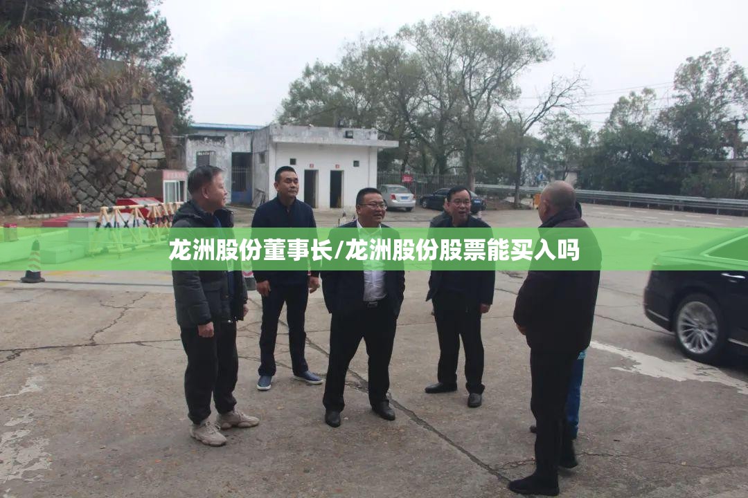 龙洲股份董事长/龙洲股份股票能买入吗