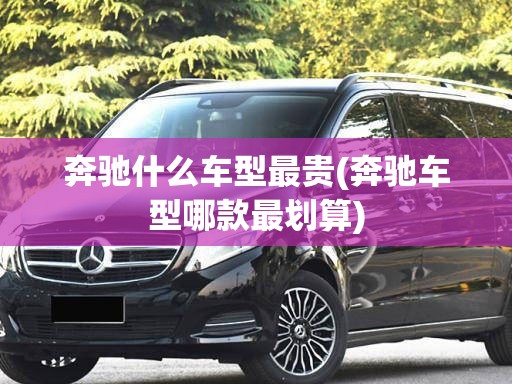 奔驰什么车型最贵(奔驰车型哪款最划算)