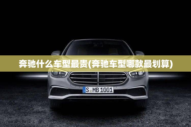 奔驰什么车型最贵(奔驰车型哪款最划算)