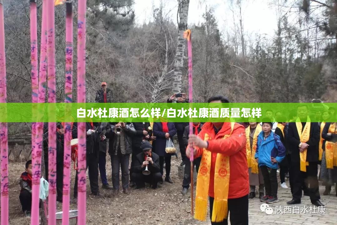 白水杜康酒怎么样/白水杜康酒质量怎样