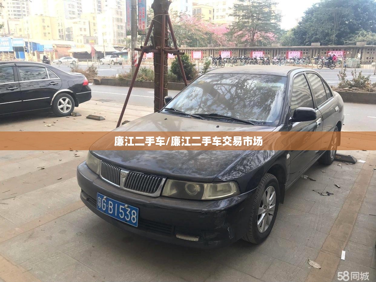 廉江二手车/廉江二手车交易市场
