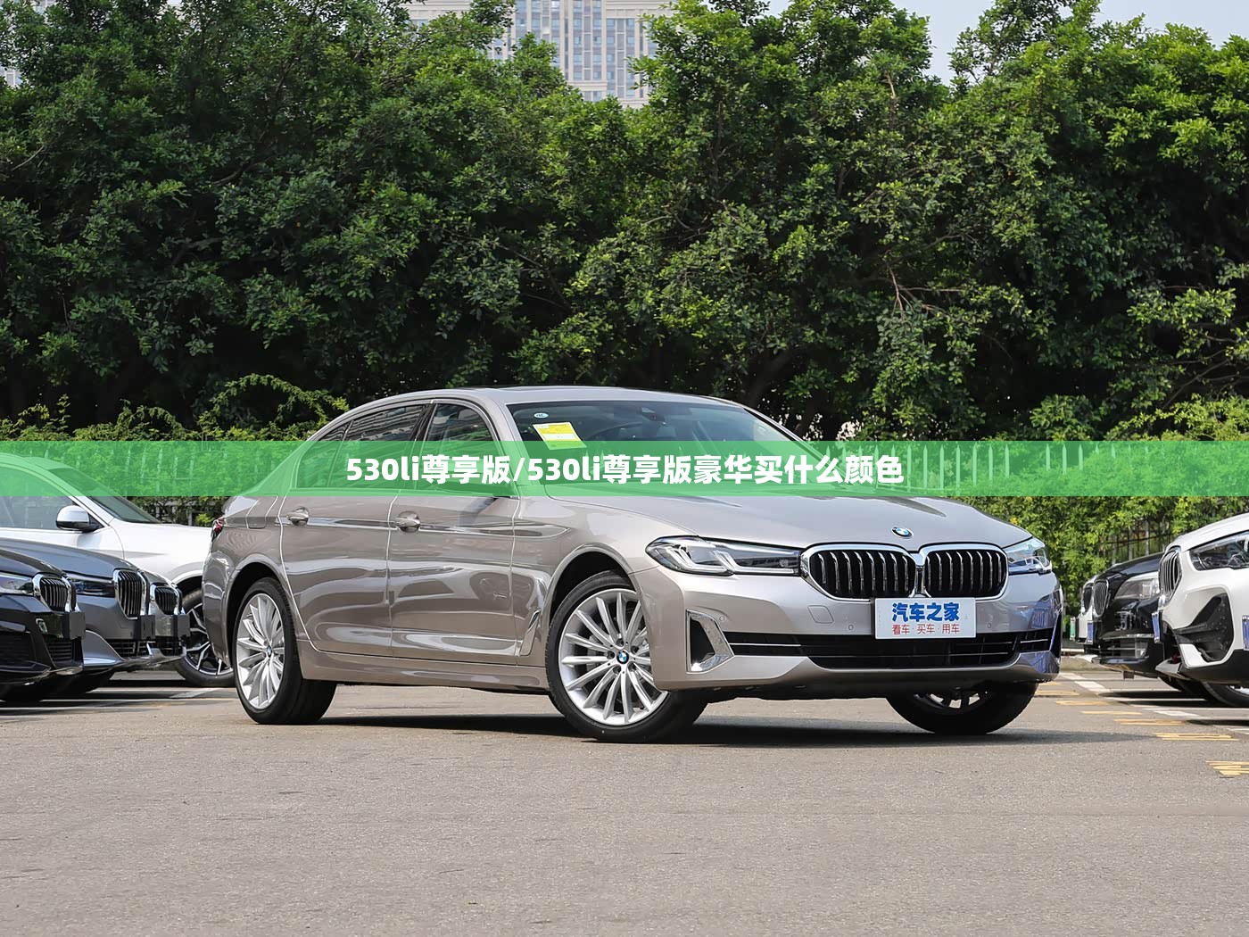 530li尊享版/530li尊享版豪华买什么颜色