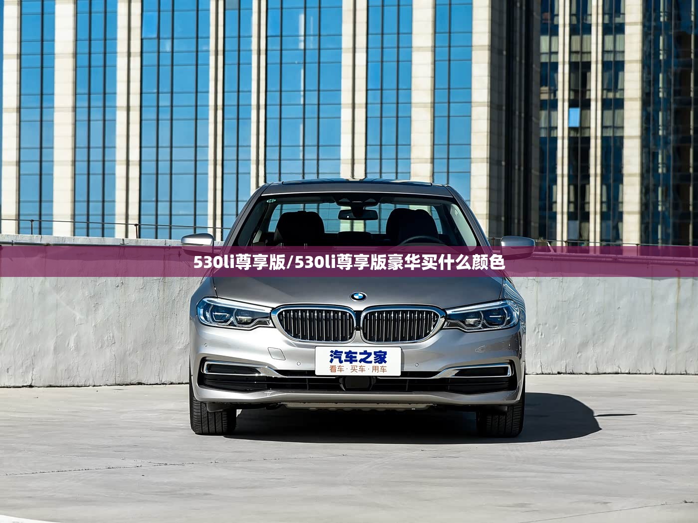 530li尊享版/530li尊享版豪华买什么颜色
