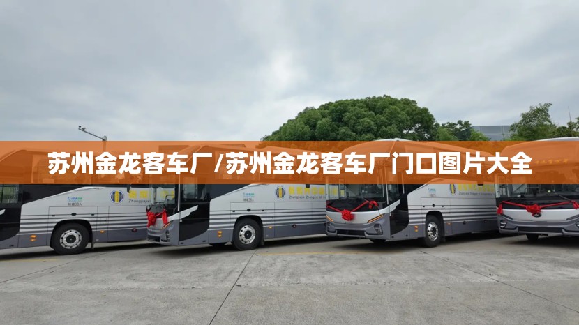 苏州金龙客车厂/苏州金龙客车厂门口图片大全