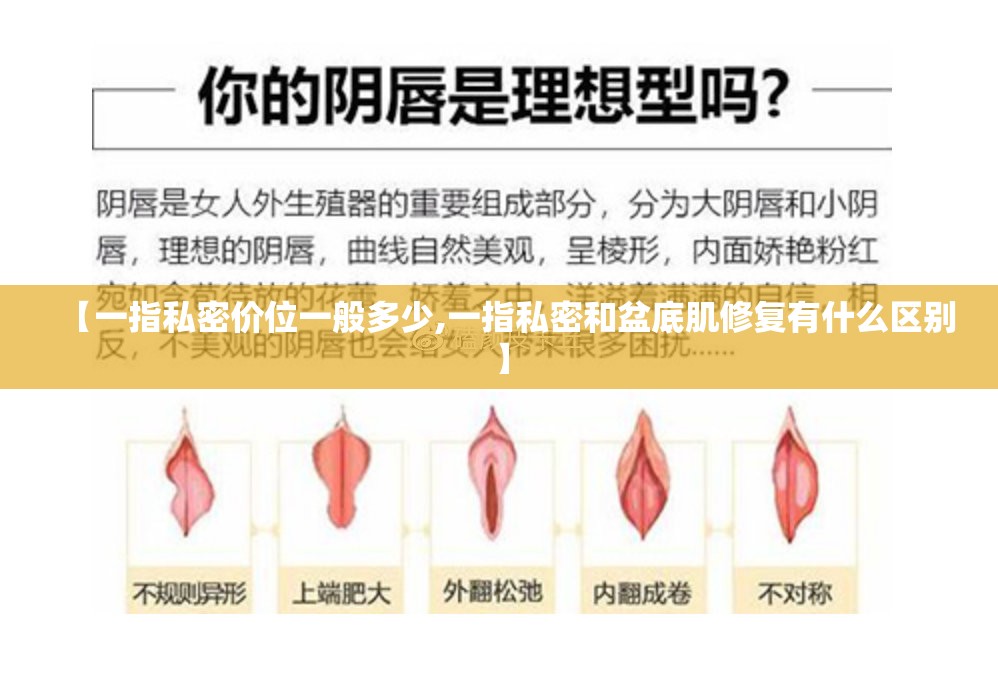 【一指私密价位一般多少,一指私密和盆底肌修复有什么区别】 【一指私密价位一般多少,一指私密和盆底肌修复有什么区别】