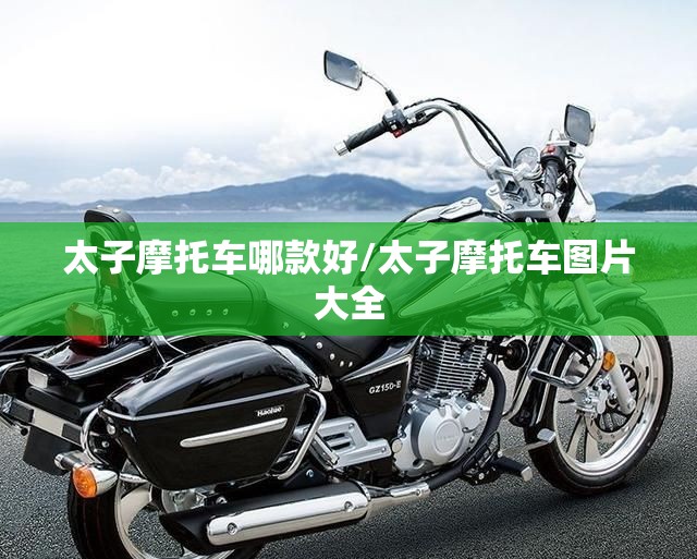 太子摩托车哪款好/太子摩托车图片大全