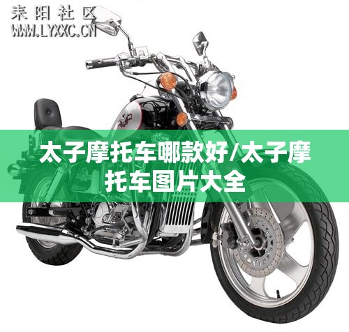 太子摩托车哪款好/太子摩托车图片大全
