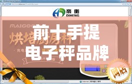 前十手提电子秤品牌排名榜/前十手提电子秤品牌对比