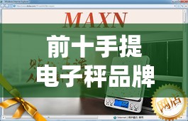 前十手提电子秤品牌排名榜/前十手提电子秤品牌对比