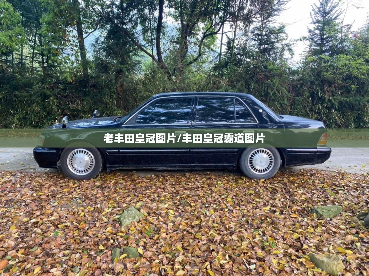 老丰田皇冠图片/丰田皇冠霸道图片