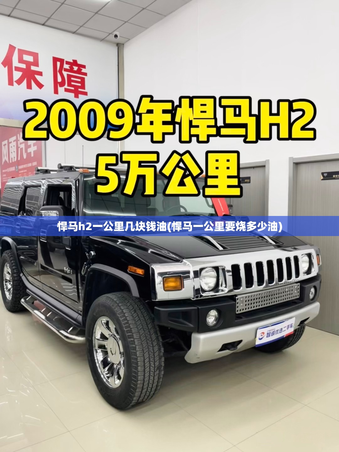 悍马h2一公里几块钱油(悍马一公里要烧多少油)