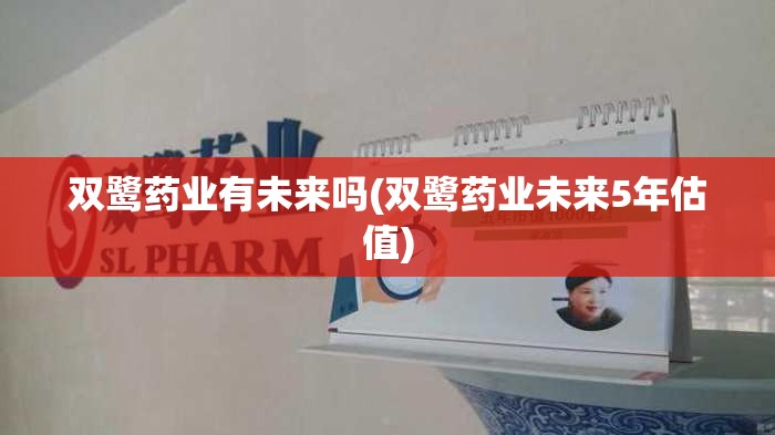 双鹭药业有未来吗(双鹭药业未来5年估值)