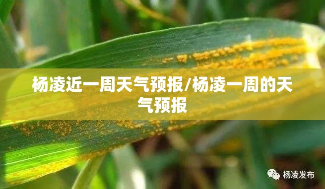 杨凌近一周天气预报/杨凌一周的天气预报