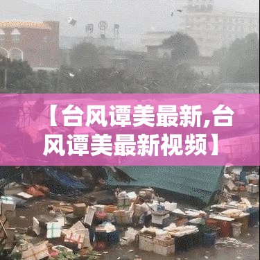 【台风谭美最新,台风谭美最新视频】