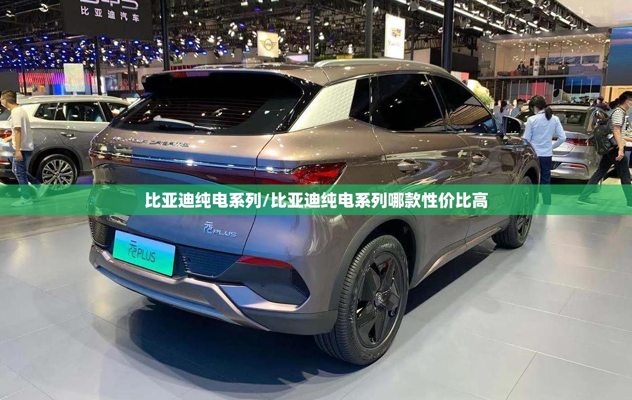 比亚迪纯电系列/比亚迪纯电系列哪款性价比高