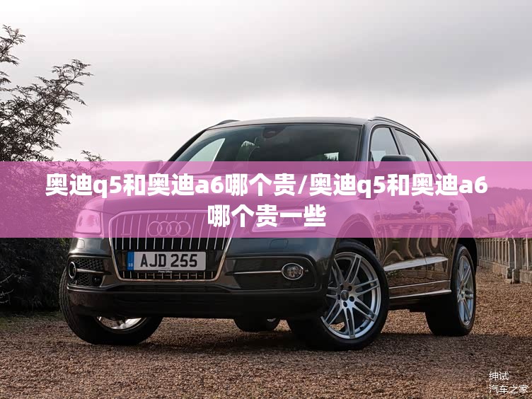 奥迪q5和奥迪a6哪个贵/奥迪q5和奥迪a6哪个贵一些