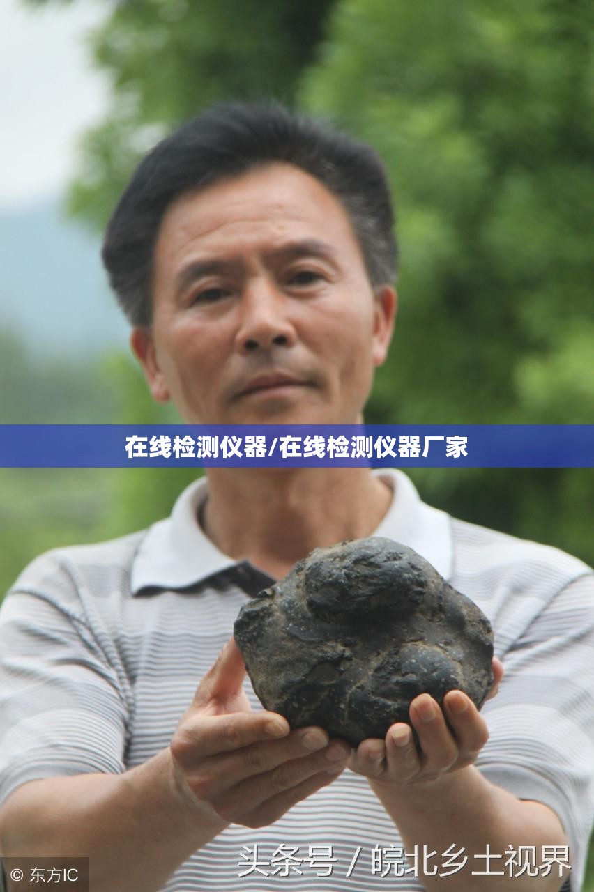 在线检测仪器/在线检测仪器厂家