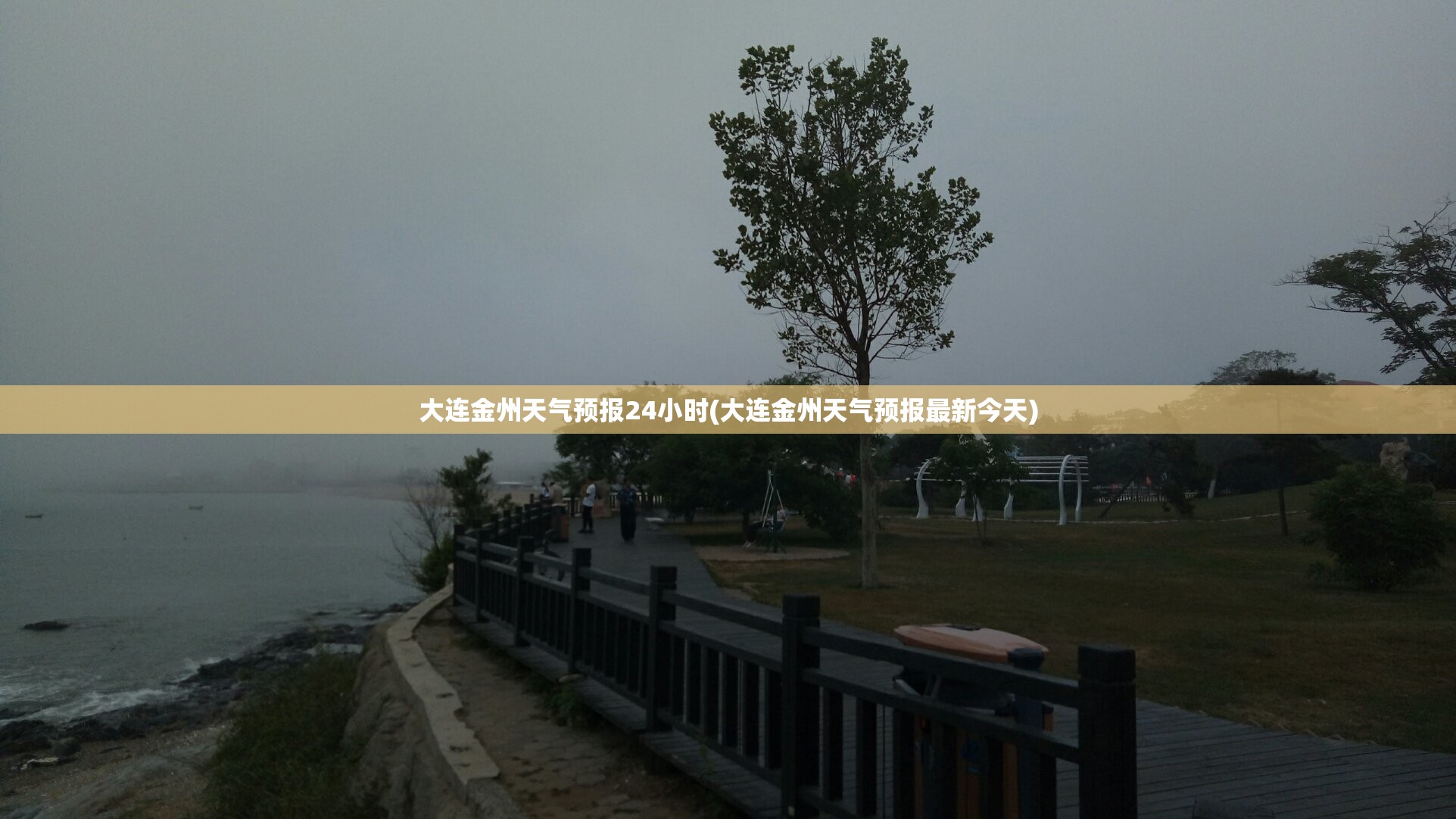 大连金州天气预报24小时(大连金州天气预报最新今天) 大连金州天气预报24小时(大连金州天气预报最新今天)