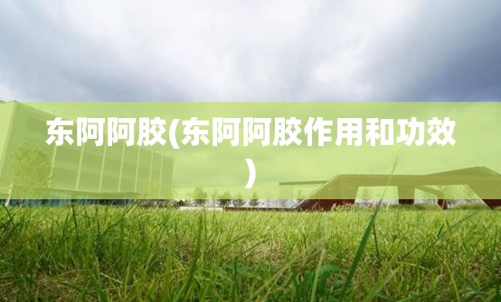 东阿阿胶(东阿阿胶作用和功效)