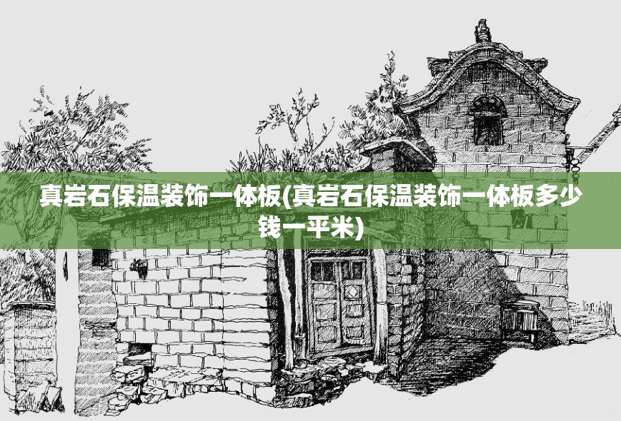 真岩石保温装饰一体板(真岩石保温装饰一体板多少钱一平米)