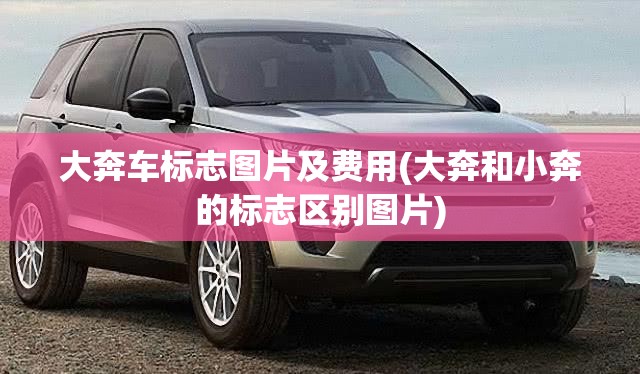 大奔车标志图片及费用(大奔和小奔的标志区别图片)