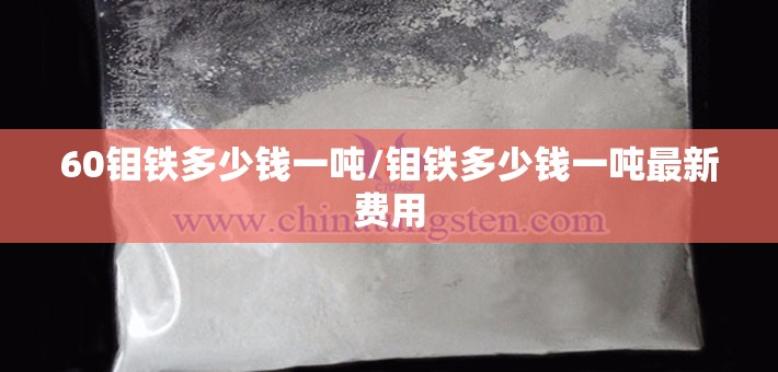 60钼铁多少钱一吨/钼铁多少钱一吨最新费用