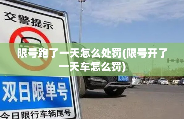 限号跑了一天怎么处罚(限号开了一天车怎么罚)