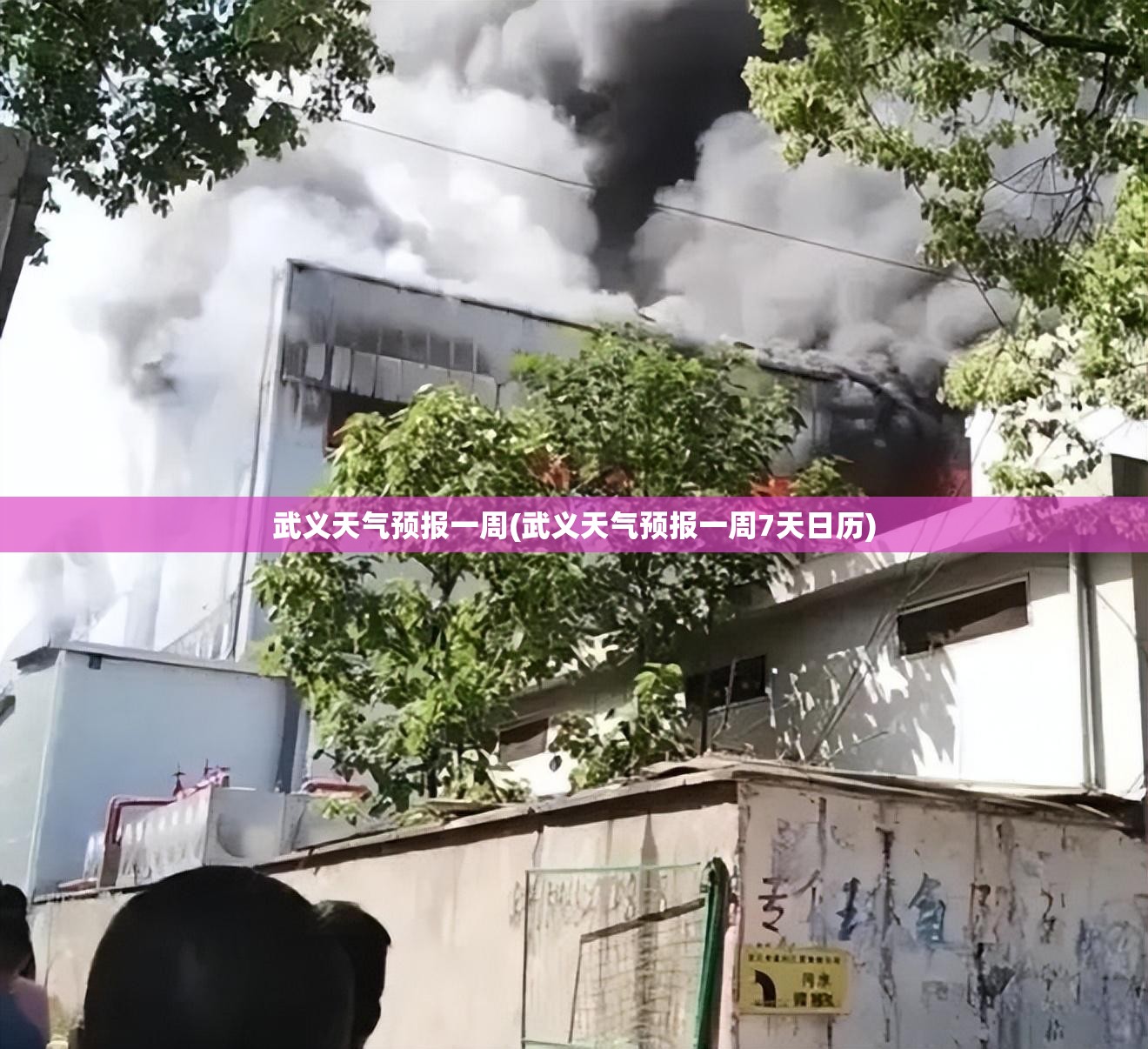 武义天气预报一周(武义天气预报一周7天日历)
