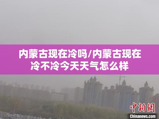 内蒙古现在冷吗/内蒙古现在冷不冷今天天气怎么样