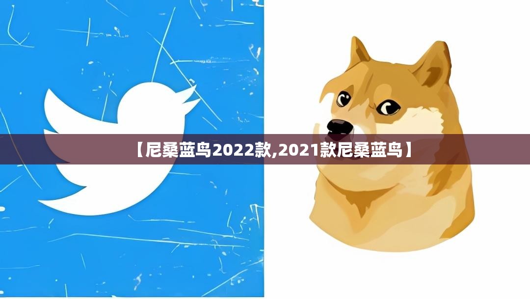 【尼桑蓝鸟2022款,2021款尼桑蓝鸟】