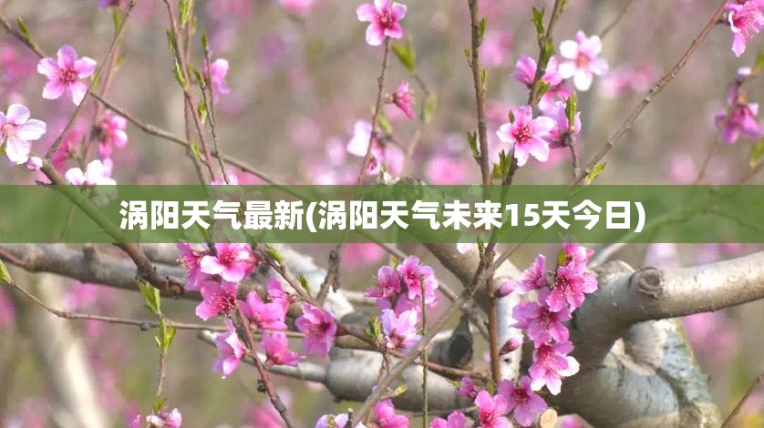 涡阳天气最新(涡阳天气未来15天今日) 涡阳天气最新(涡阳天气未来15天今日)