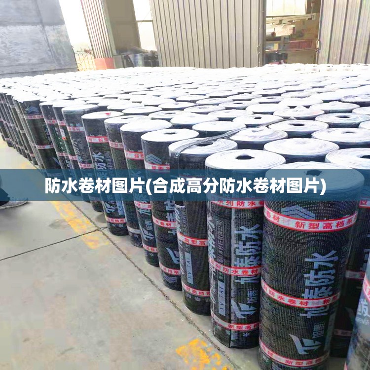 防水卷材图片(合成高分防水卷材图片)